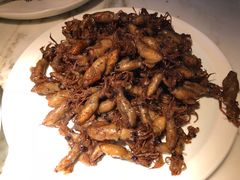 -日丰园海肠水饺·老字号大连海鲜(和平广场店)