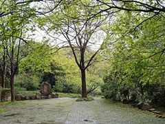 -无锡梅园公园