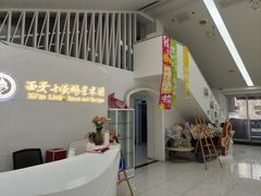 -西安小天鹅艺术团(曲江Alice店)