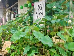 -鼓楼(西湖风景名胜区)