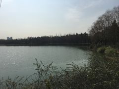 -昆山城市生态森林公园