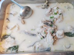 -洞庭家宴·头牌甲鱼(广渠门店)