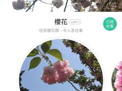 -西安青龙寺遗址景区