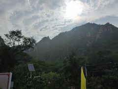 -大岭沟猕猴桃谷风景区