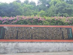 -龙头寺公园