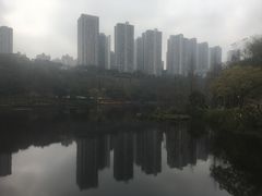 -重庆彩云湖湿地公园