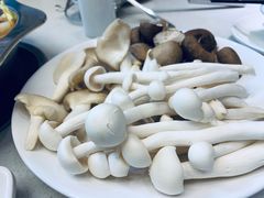-古乐牛香·鲜牛肉牛杂火锅(新区店)
