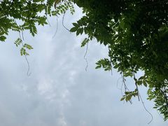 -福州动物园