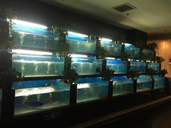水产区-王家渡火锅店(棕榈泉店)