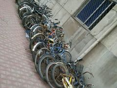 android_upload_pic-辽宁大学(崇山校区)