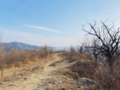 -红光山