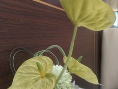-欢乐海岸美食联盟