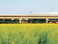 -光明小镇欢乐田园