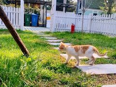 -TIPPI营地 房车主题·露营烧烤团建轰趴(天安假日店)