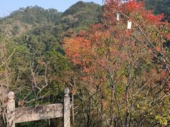 -大慈岩风景区