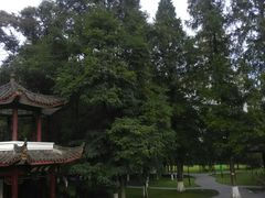-温江公园