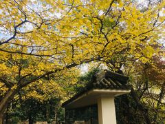 -穹窿山景区
