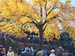 -无锡惠山寺