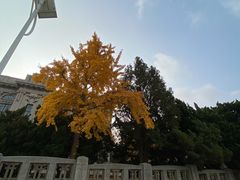 -旅顺博物馆