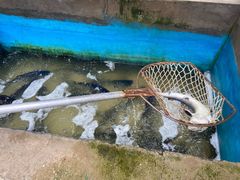 -姥家大锅台水库渔家
