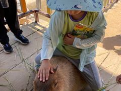 -西霞口神雕山野生动物世界