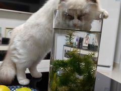 -联合动物医院(光谷诊疗中心)