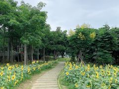 -龙江公园