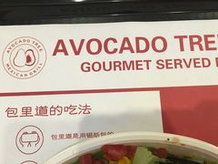-油梨树 AVOCADO TREE(亮马桥店)