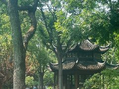 -苏州园林博物馆