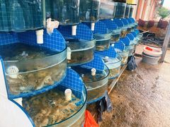 -正亮农家院·海鲜本地菜