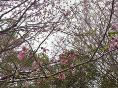 -福清灵石山国家森林公园