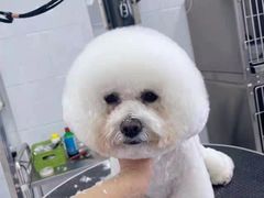 -欧奕国际动物医院