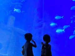 -江和美海洋公园