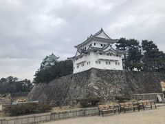 -名古屋城