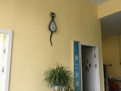 -瑞鹏宠物医院·爱宠堂·骨外专科(西荷分院)