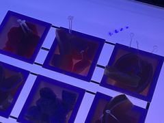 -魅KTV·AI辅唱(人民广场旗舰店)