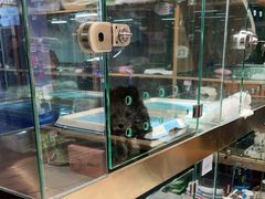 -FAELING PETS美天灵宠物(富力广场店)