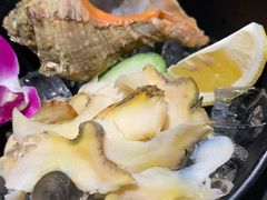 -万岁料理回转寿司(华贸店)