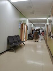 -上海交通大学医学院附属上海儿童医学中心(陆家嘴总院区)