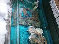 -中苑海韵