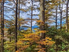 -四明山国家森林公园
