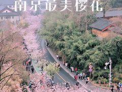 -南京城墙景区