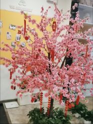 点击看大图 -佳宝全套房精品月子会所(大华店)