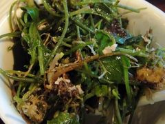 雷公根-南宁饭店·小嘟来食街