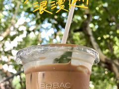 -BOBAC