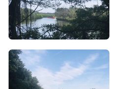 -大湾区中央湿地公园