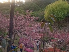 -狐尾山公园