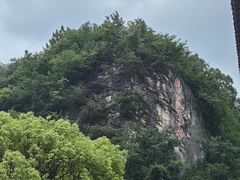 -黔灵山公园