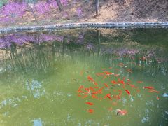 -红螺寺