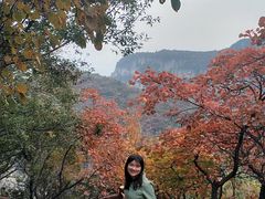 -神农山景区